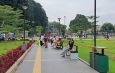 kebun raya bogor