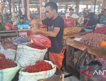 kenaikan harga