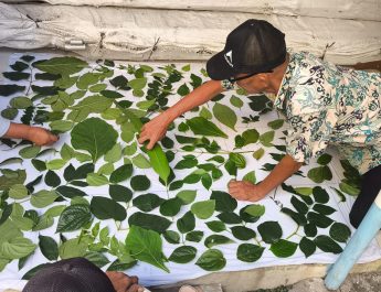 Kami sangat bangga dan bersyukur atas penghargaan yang diberikan kepada program Betel Leaf Empowerment Hub. Program ini bukan hanya tentang peningkatan ekonomi,