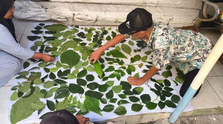 Kami sangat bangga dan bersyukur atas penghargaan yang diberikan kepada program Betel Leaf Empowerment Hub. Program ini bukan hanya tentang peningkatan ekonomi,
