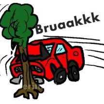 Kendaraan tersebut bergerak lurus ke depan menabrak pohon palem di jalan masuk pintu Tol Jagorawi arah Bogor, sehingga terjadilah kecelakaan lalu lintas tunggal