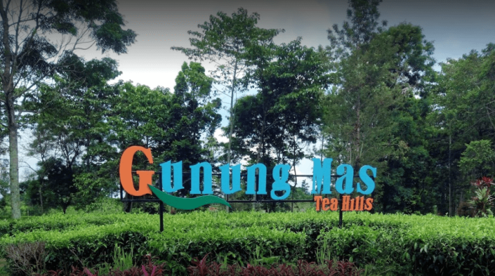 Ketika selesai dari wisata argo naik bus merasakan pusing, kemudian sesak nafas, setelah itu ke luar bus, ketika dievakuasi ke masjid, meninggal dunia di masjid, gitu ceritanya," ungkap Rizky.
