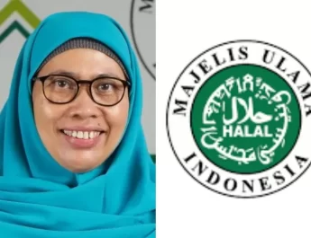Sisanya diperiksa oleh lembaga pemeriksa halal (LPH) lainnya