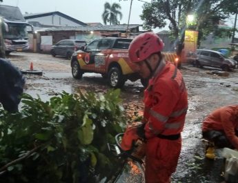 Beruntung tidak ada korban luka maupun jiwa akibat dahan patah yang timbul akibat cuaca ekstrem.
