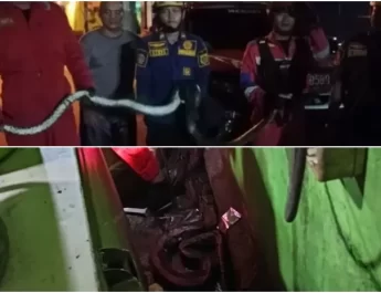 Tim Dinas Pemadam Kebakaran (Damkar) Kabupaten Bogor yang menerima laporan langsung mendatangi lokasi