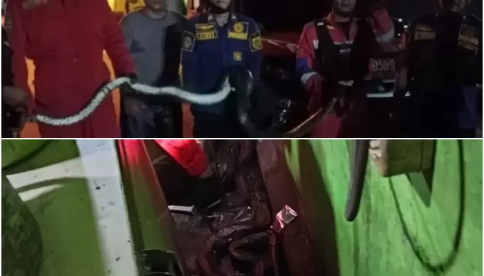 Tim Dinas Pemadam Kebakaran (Damkar) Kabupaten Bogor yang menerima laporan langsung mendatangi lokasi