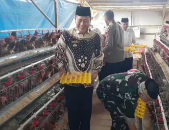 Ayam Petelur Sedang Naik Daun di Bogor, Ini Penyebabnya