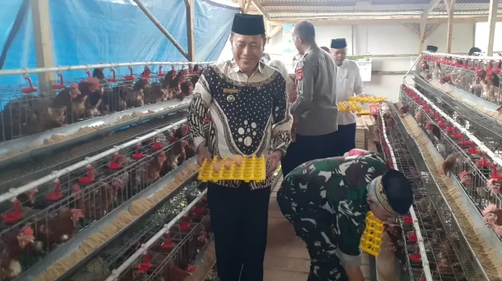 Ayam Petelur Sedang Naik Daun di Bogor, Ini Penyebabnya