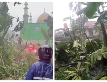Namun, hingga kini pihaknya belum bisa memastikan jumlah pohon yang tumbang akibat angin kencang tersebut.