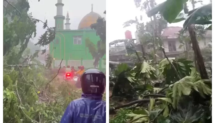 Namun, hingga kini pihaknya belum bisa memastikan jumlah pohon yang tumbang akibat angin kencang tersebut.