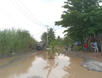 Dalam sekali lubangnya. Saya harap jalan ini bisa segera diperbaiki karena ini akses utama masyarakat dari Rumpin juga Gunungsindur