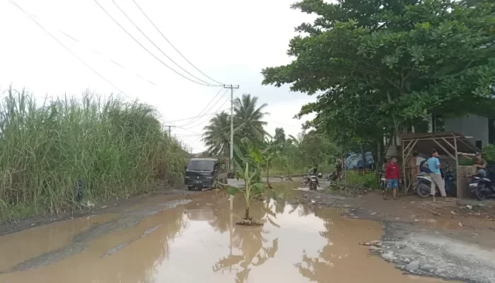 Dalam sekali lubangnya. Saya harap jalan ini bisa segera diperbaiki karena ini akses utama masyarakat dari Rumpin juga Gunungsindur