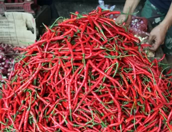 Berdasarkan data Panel Harga Pangan minggu kedua Januari 2025 (5-11 Januari), kenaikan harga cabai rawit merah di atas HAP terjadi di 326 kabupaten/kota.