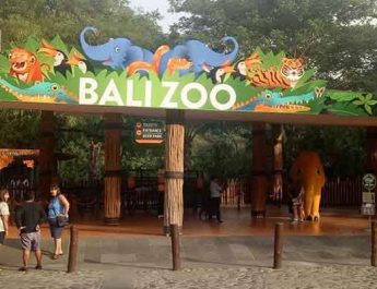 bali zoo