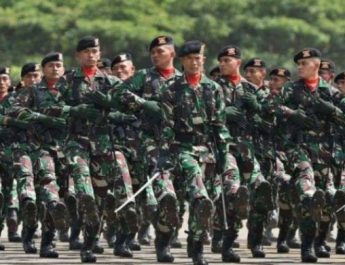 tni ad