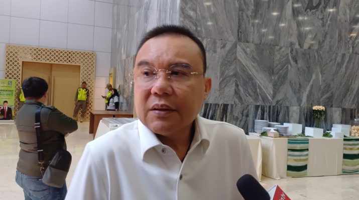 wakil ketua dpr