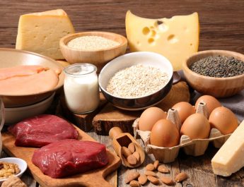 protein