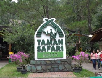 taman safari bogor