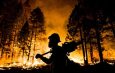 Prabowo Tegas: Era Bakar Hutan untuk Buka Lahan Sudah Berakhir