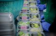 Dapur MBG