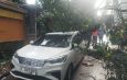 Mobil Tertimpah Pohon Besar