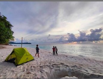 Kelapa 5 Banggai Laut