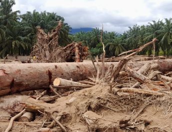 sumber gambar : Padanglawas