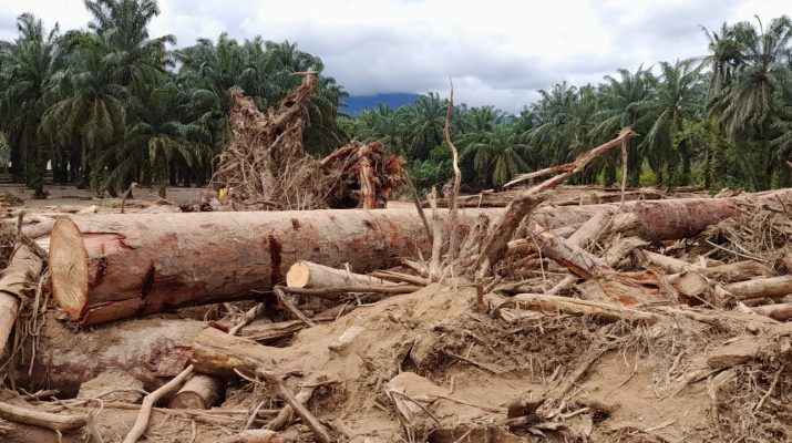 sumber gambar : Padanglawas