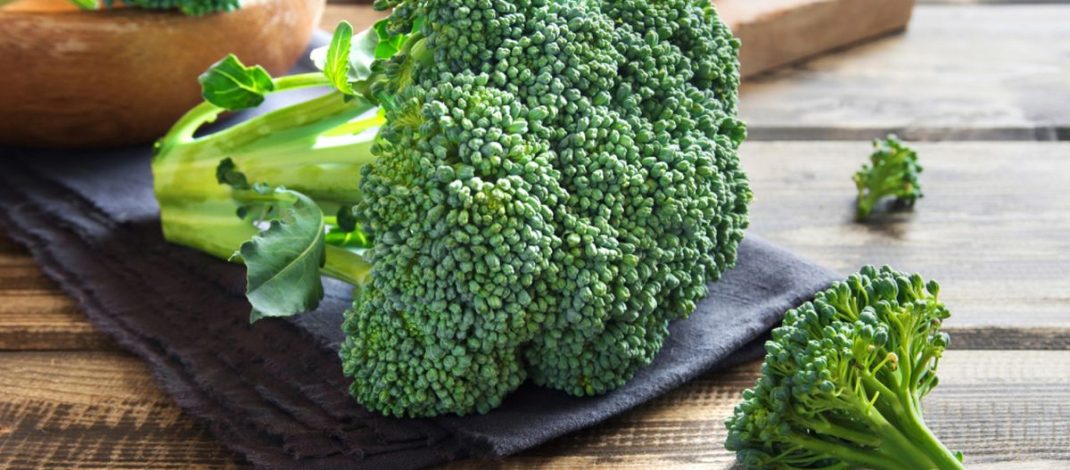 Tak Sekadar Sayur, Brokoli Disebut Mampu Menjaga Daya Ingat