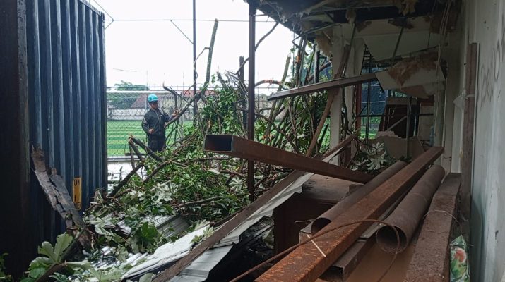 Pohon Roboh di Taman Sempur Kota Bogor