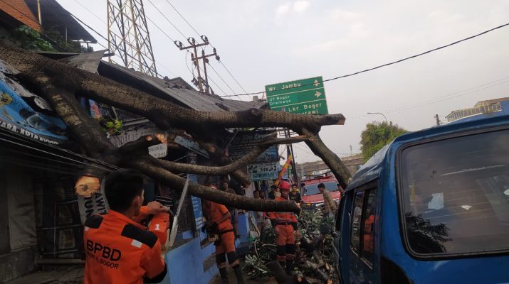 Evakuasi Dahan Pohon oleh BPBD yang Timpa Kios dan Sebuah Angkot di Bogor Utara, Kota Bogor