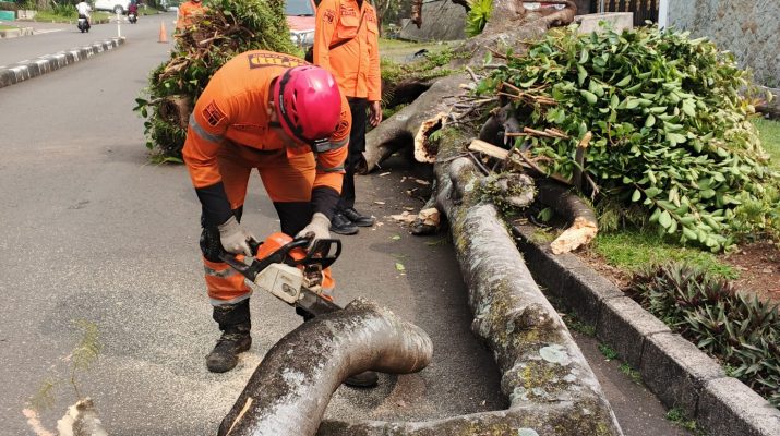 Pemotongan pohon raksasa yang tumbang di Baranangsiang Kota Bogor
