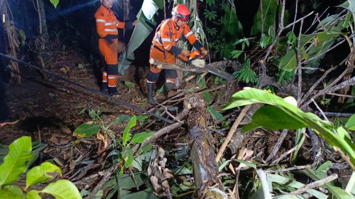 Angin Kencang, Pohon 10 Meter Tumbang di Rancamaya Bogor