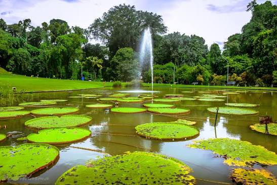 Kabun Raya Bogor