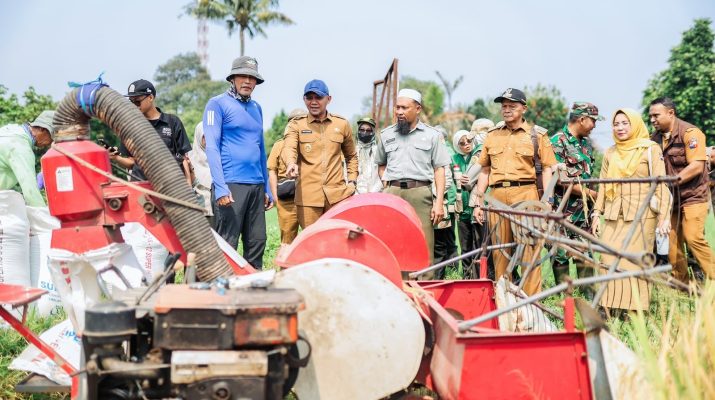 Lahan Pertanian Bogor Tinggal 58 Hektare, Pemkot Perkuat Komitmen Jaga Ketahanan Pangan