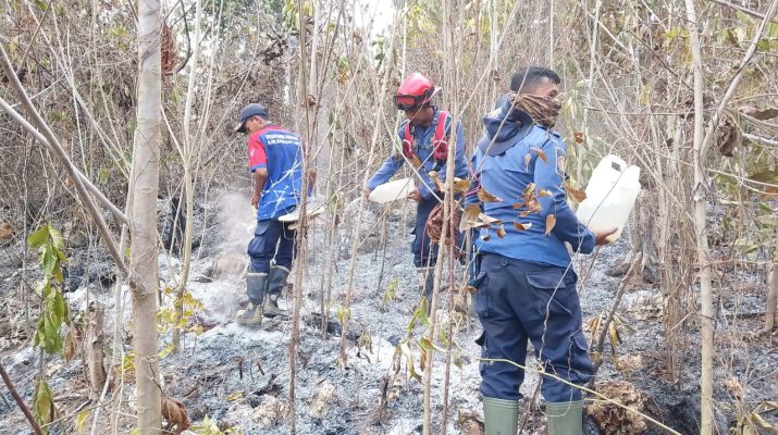 Damkar Banggai Laut padamkan Api lahan terbakar di Lokotoy