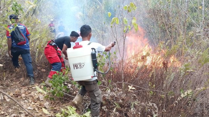 Kebakaran Lahan Kebun di Lokotoy Banggai Laut