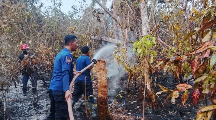 Damkar Banggai Laut Padamkan Kebakaran di Matanga