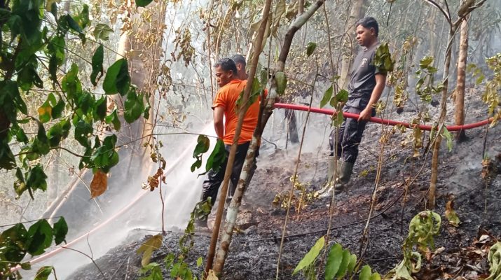 Kebakaran di desa Tolokibit Banggai Laut